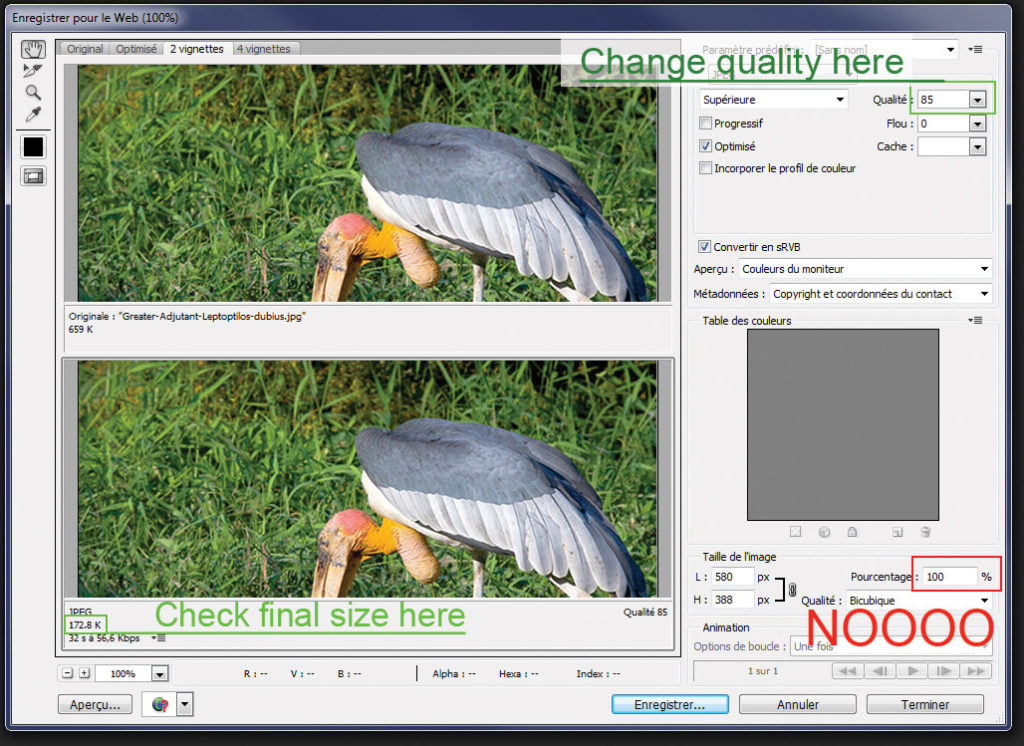 Two images of a stork on a computer, one is optimized to make file size smaller and the other is not. Cannot tell the difference in quality.