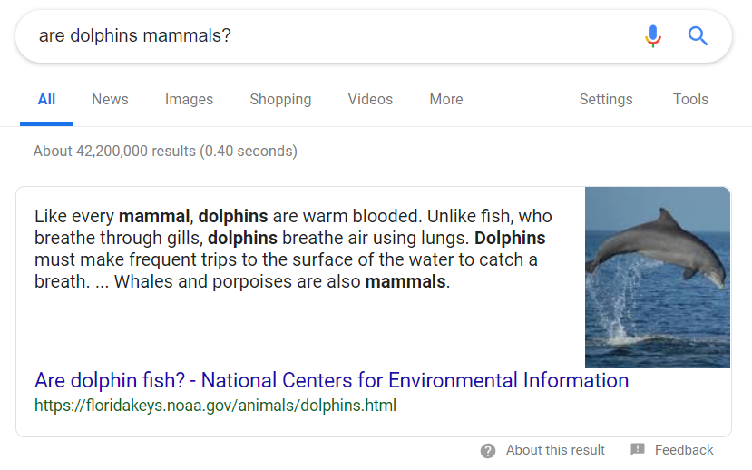 google search results page for are dolphins mammals