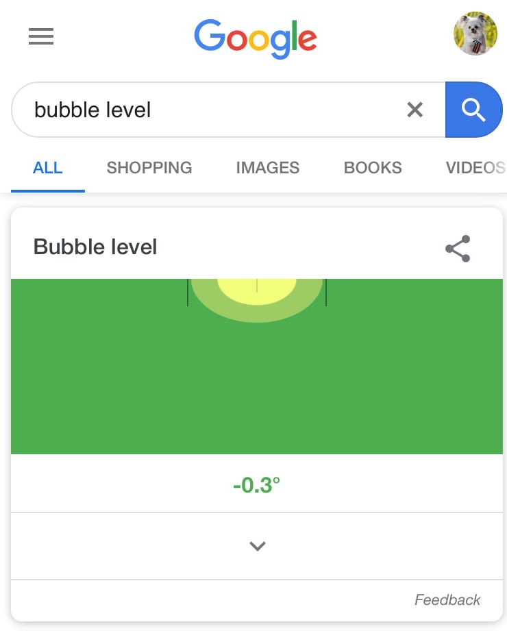 Google Hid A Fidget Spinner Within Search