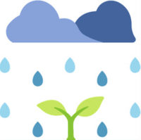 graphic with clouds, rain and a small plant