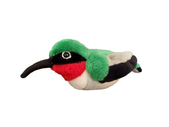 stuffed animal hummingbird