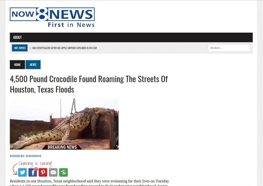 now8news screenshot showing fake news story