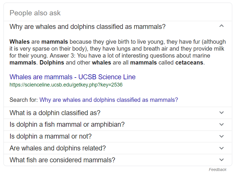 screenshot of people also ask on google about whales and dolphins