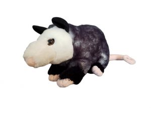stuffed possum to represent google algorithm update