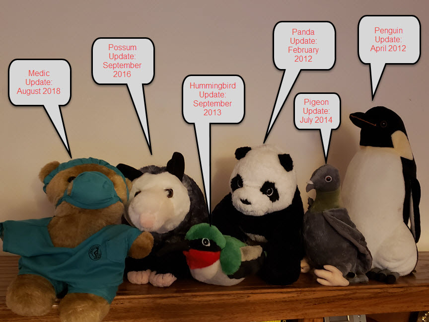 Bear, possum, hummingbird, panda, pigeon, and penguin stuffed animals to represent google's algorithm updates