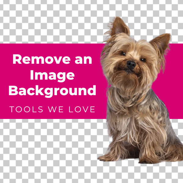 remove an image background - tools we love